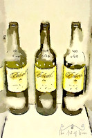 Babcock painted bottle trio