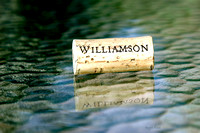 Williamson on Water
