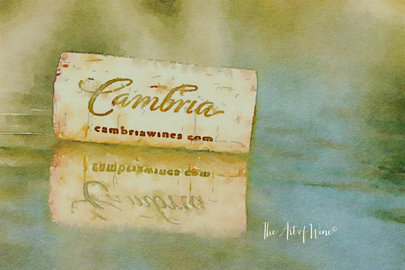 Cambria solo cork